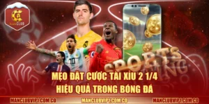Mẹo đặt cược tài xỉu 2 1/4 hiệu quả trong bóng đá